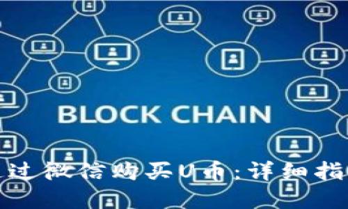 TP钱包如何通过微信购买U币:详细指南与实用技巧