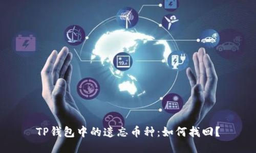 TP钱包中的遗忘币种：如何找回？