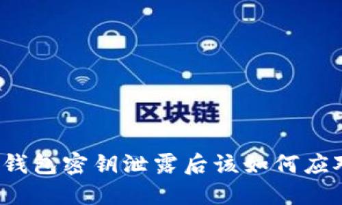 TP钱包密钥泄露后该如何应对？