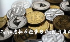 2023年TenX虚拟币投资分析：