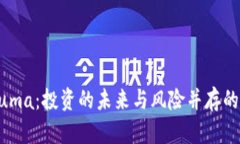 虚拟币Luma：投资的未来与