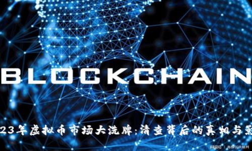 2023年虚拟币市场大洗牌：清查背后的真相与影响