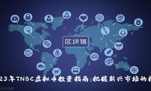 2023年TNBC虚拟币投资指南：把握新兴市场的机遇