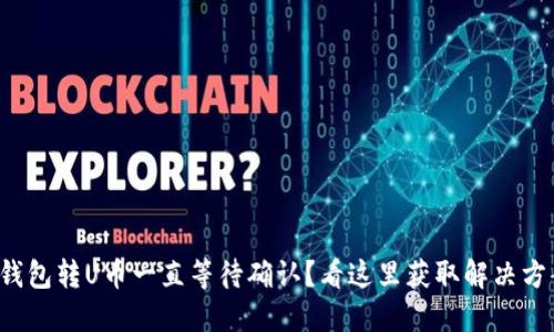 TP钱包转U币一直等待确认？看这里获取解决方案！