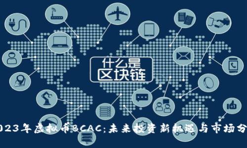 2023年虚拟币BCAC：未来投资新机遇与市场分析