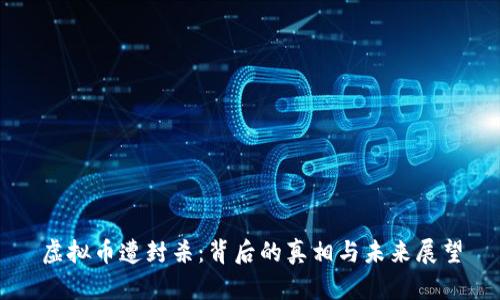 虚拟币遭封杀：背后的真相与未来展望