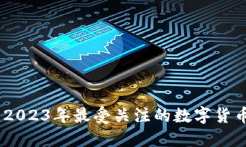 呆呆虚拟币：2023年最受关注的数字货币投资新选择