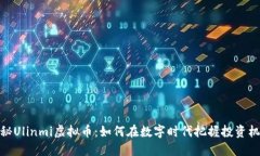 探秘Ulinmi虚拟币：如何在