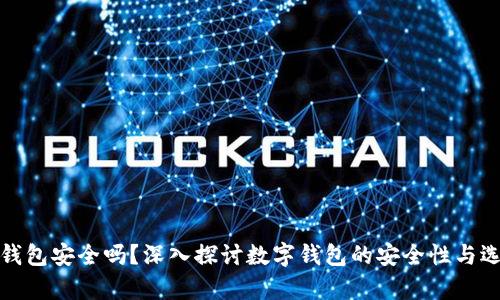 tp和bk钱包安全吗？深入探讨数字钱包的安全性与选择指南