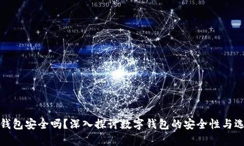 tp和bk钱包安全吗？深入探讨数字钱包的安全性与选择指南