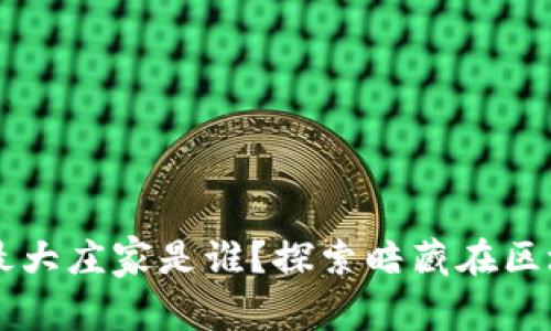 虚拟币市场的最大庄家是谁？探索暗藏在区块链背后的力量