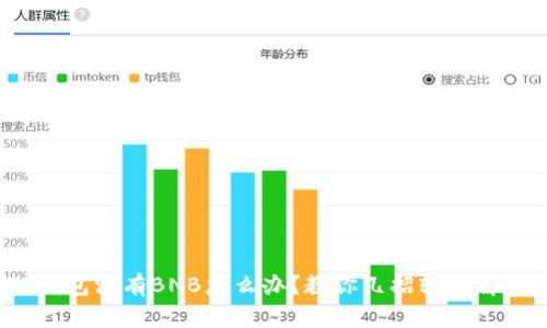 TP钱包没有BNB怎么办？教你几招轻松解决！