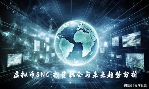 虚拟币SNC：投资机会与未来趋势分析