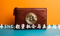 虚拟币SNC：投资机会与未