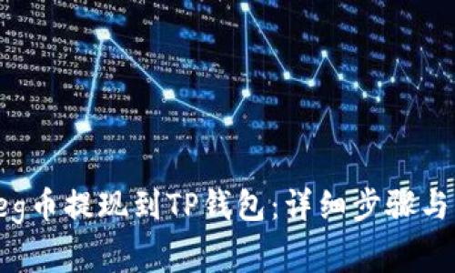 如何将Feg币提现到TP钱包：详细步骤与注意事项
