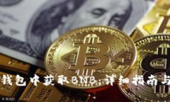 如何在TP钱包中获取BNB：详