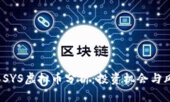 2023年SYS虚拟币分析：投资