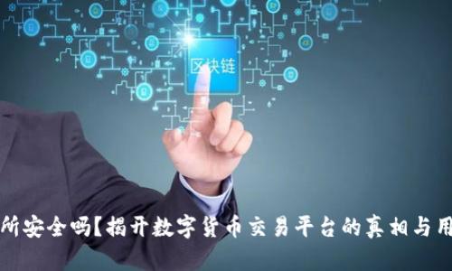 TP交易所安全吗？揭开数字货币交易平台的真相与用户保护