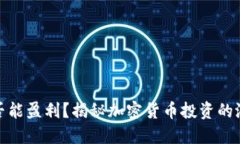 TP钱包是否能盈利？揭秘加