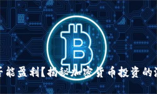 TP钱包是否能盈利？揭秘加密货币投资的潜力与风险