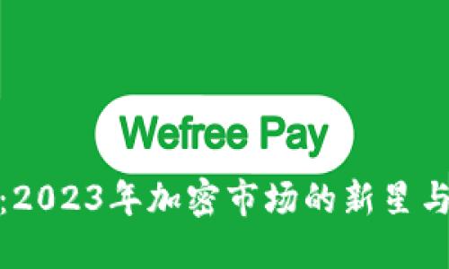 VF虚拟币：2023年加密市场的新星与投资机会