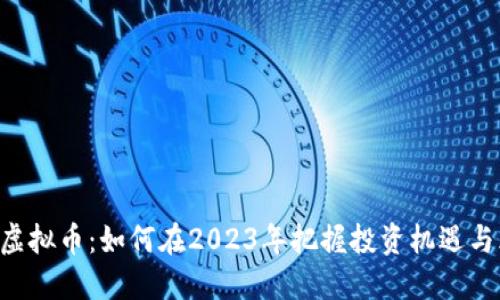 FNK虚拟币：如何在2023年把握投资机遇与风险