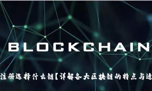 TP钱包注册选择什么链？详解各大区块链的特点与适用场景