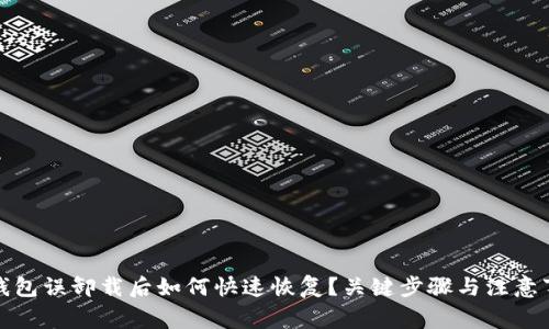 TP钱包误卸载后如何快速恢复？关键步骤与注意事项