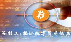 虚拟币量子特工：揭秘数