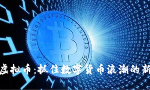 浣熊虚拟币：抓住数字货币浪潮的新机遇