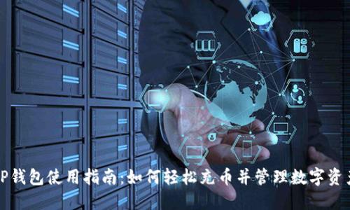 TP钱包使用指南：如何轻松充币并管理数字资产