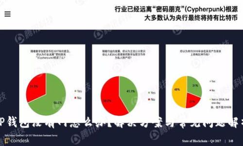 TP钱包没有网怎么办？解决方案与常见问题解析