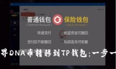 如何将元界DNA币转移到T