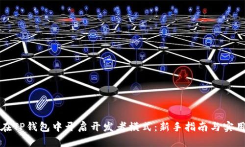 如何在TP钱包中开启开发者模式：新手指南与实用技巧