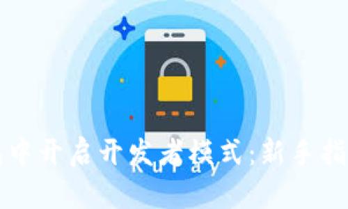如何在TP钱包中开启开发者模式：新手指南与实用技巧
