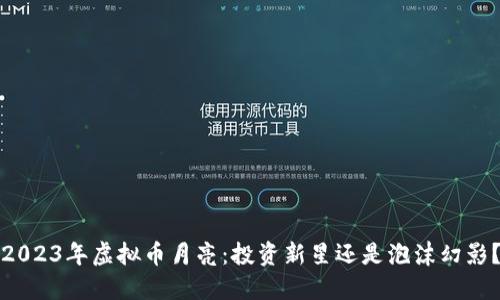 2023年虚拟币月亮：投资新星还是泡沫幻影？