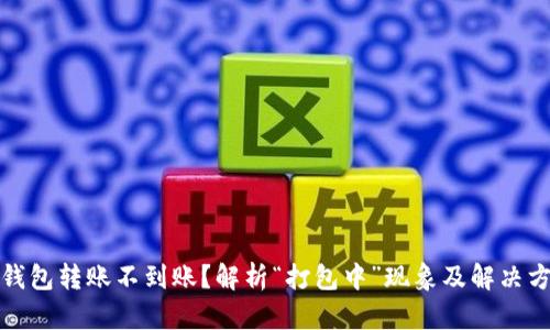 TP钱包转账不到账？解析“打包中”现象及解决方案