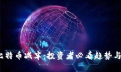 2024年比特币减半：投资者