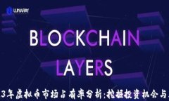 2023年虚拟币市场占有率分