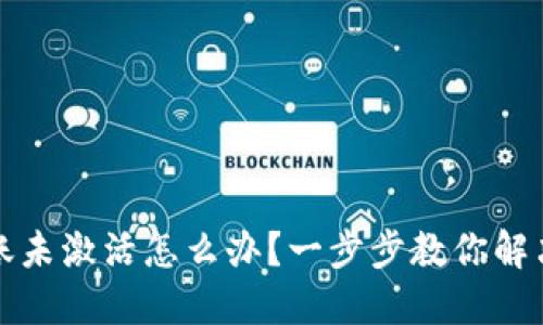 TP钱包转账未激活怎么办？一步步教你解决转账问题