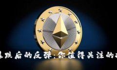 虚拟币暴跌后的反弹：你