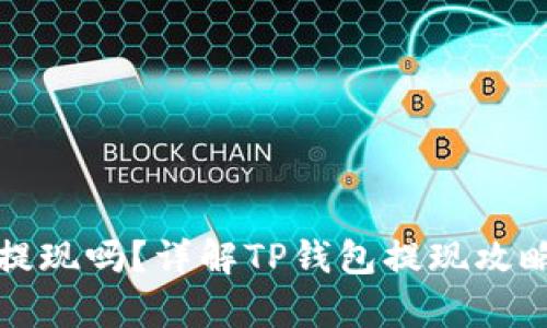 TP钱包还能提现吗？详解TP钱包提现攻略与风险分析