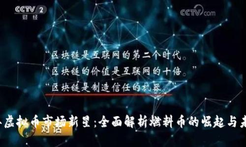 2023年虚拟币市场新星：全面解析燃料币的崛起与未来展望