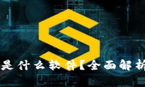 虚拟币钱包是什么软件？全面解析与使用指南