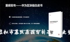 狗狗虚拟币暴跌原因分析