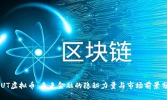 SDUT虚拟币：未来金融的隐