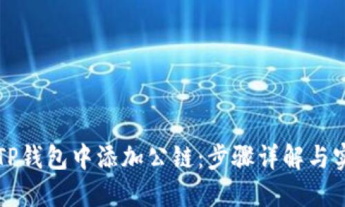 如何在TP钱包中添加公链：步骤详解与实用指南