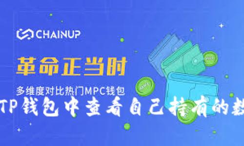 如何在TP钱包中查看自己持有的数字货币