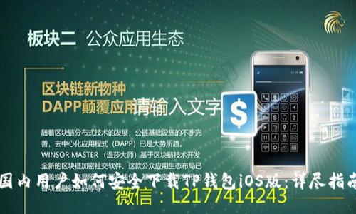 国内用户如何安全下载TP钱包iOS版：详尽指南