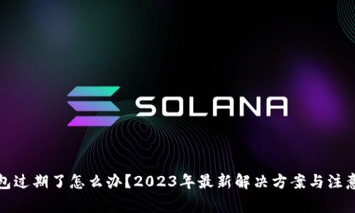 TP钱包过期了怎么办？2023年最新解决方案与注意事项